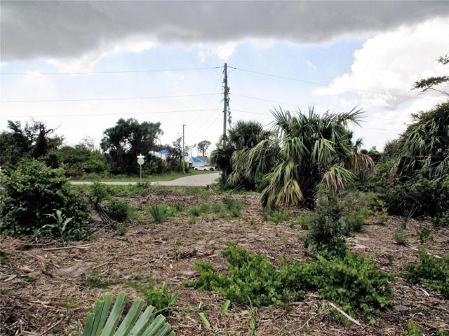 View of lot from the back looking toward Hialeah Terrace and Barnwood Lane.