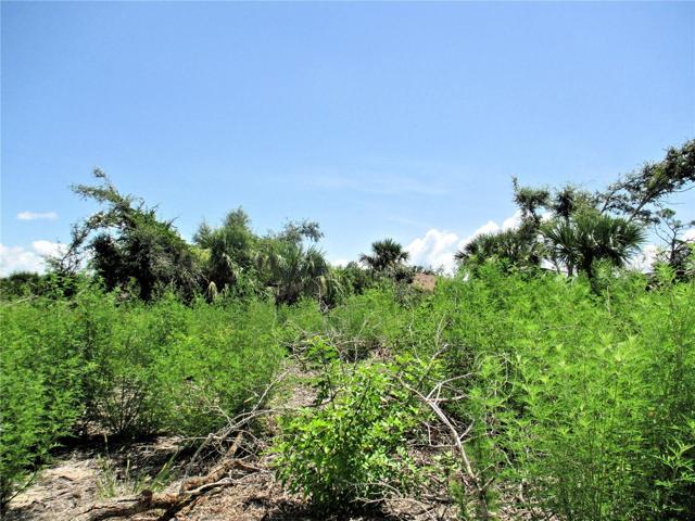 Looking across lot to the left