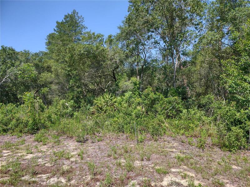 Front of property from the road