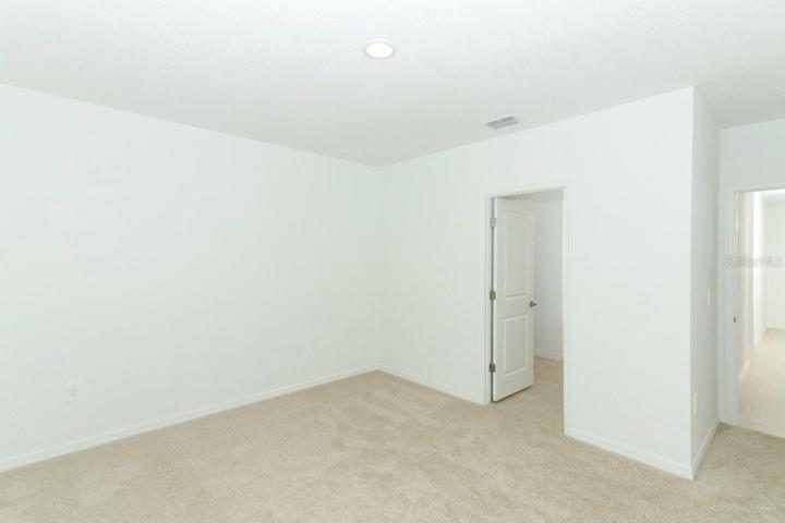 244 Citrine Loop