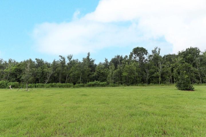 244 Citrine Loop