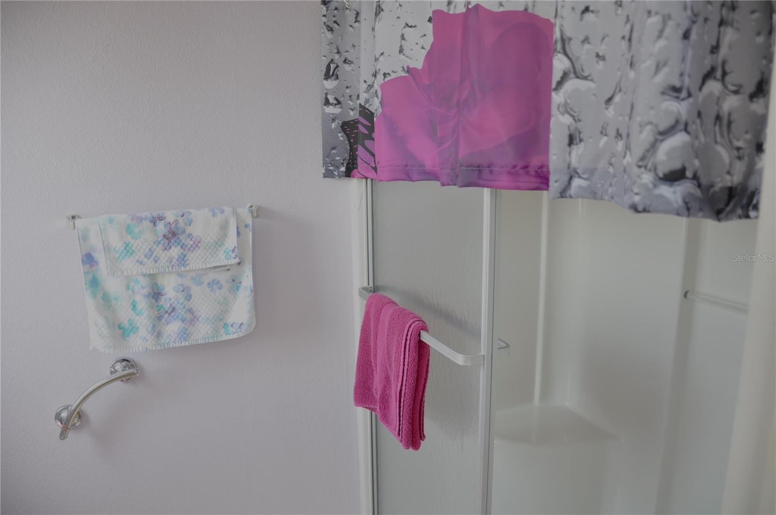 Master Bathroom Walk in Shower