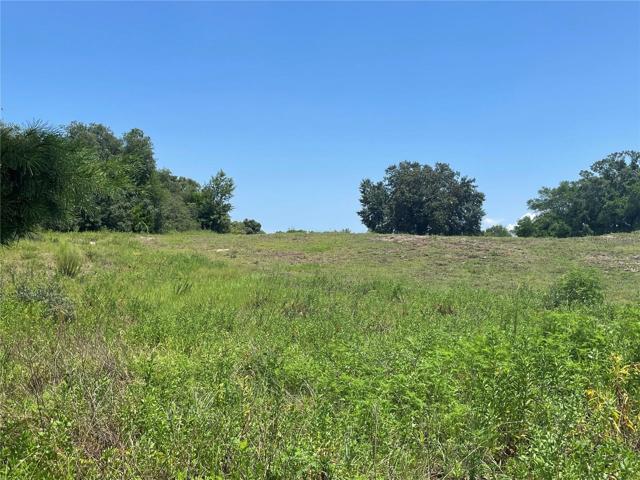 View from the backside of the lot overlooking the closed golf course/greenspace