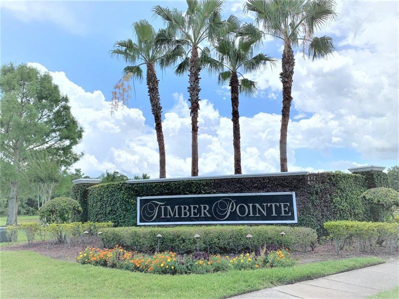 Timber Pointe