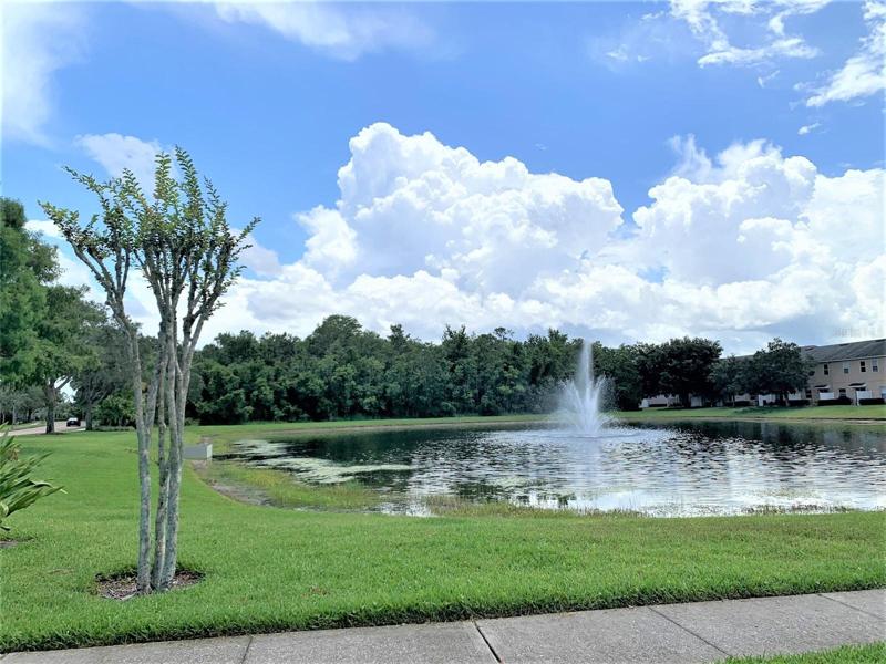 Community Pond