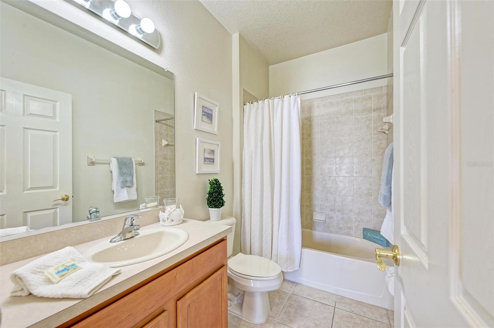 Main House Bath/Guest Bathroom