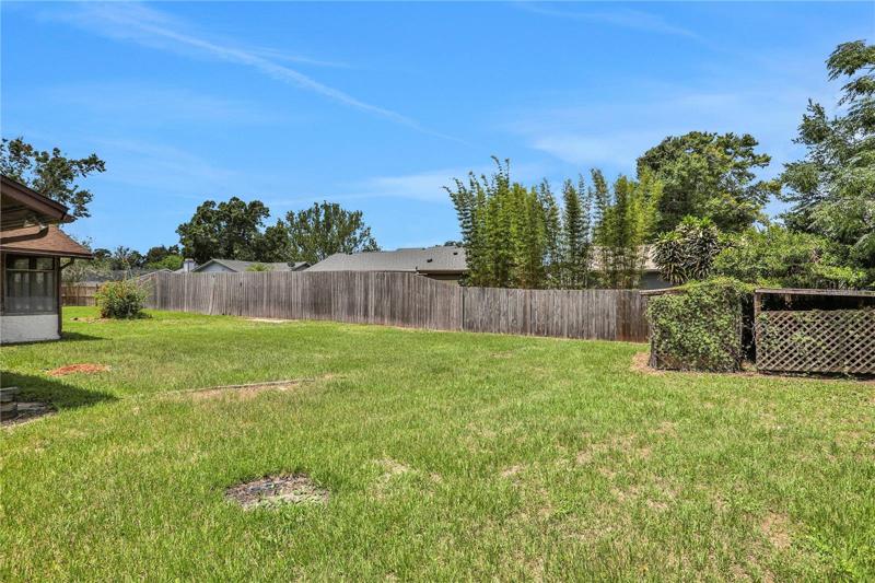 Backyard