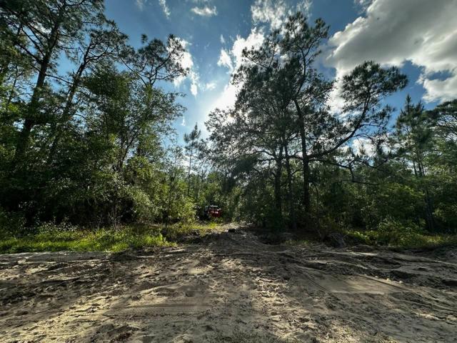3.5 acres in Frostproof FL