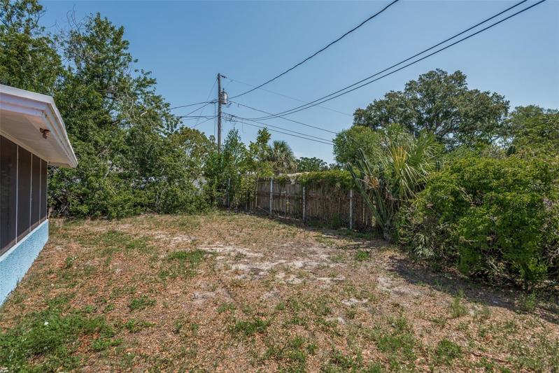 Backyard