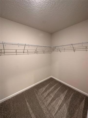 Walk in closet #2