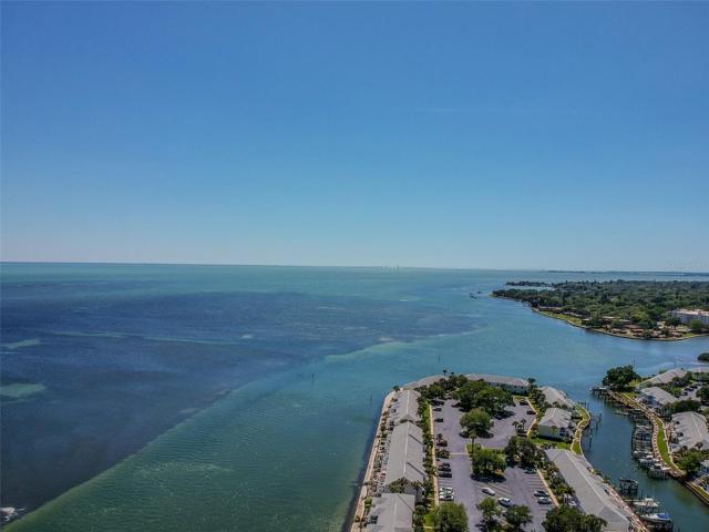 Tampa Bay!