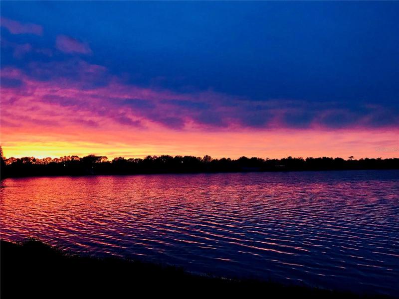 Sunset View