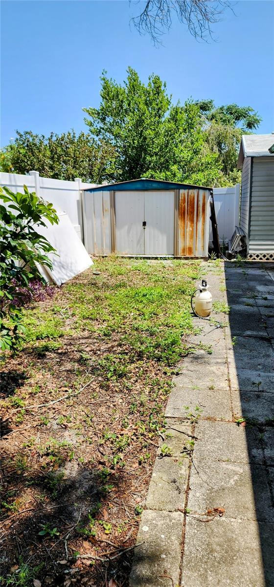 backyard