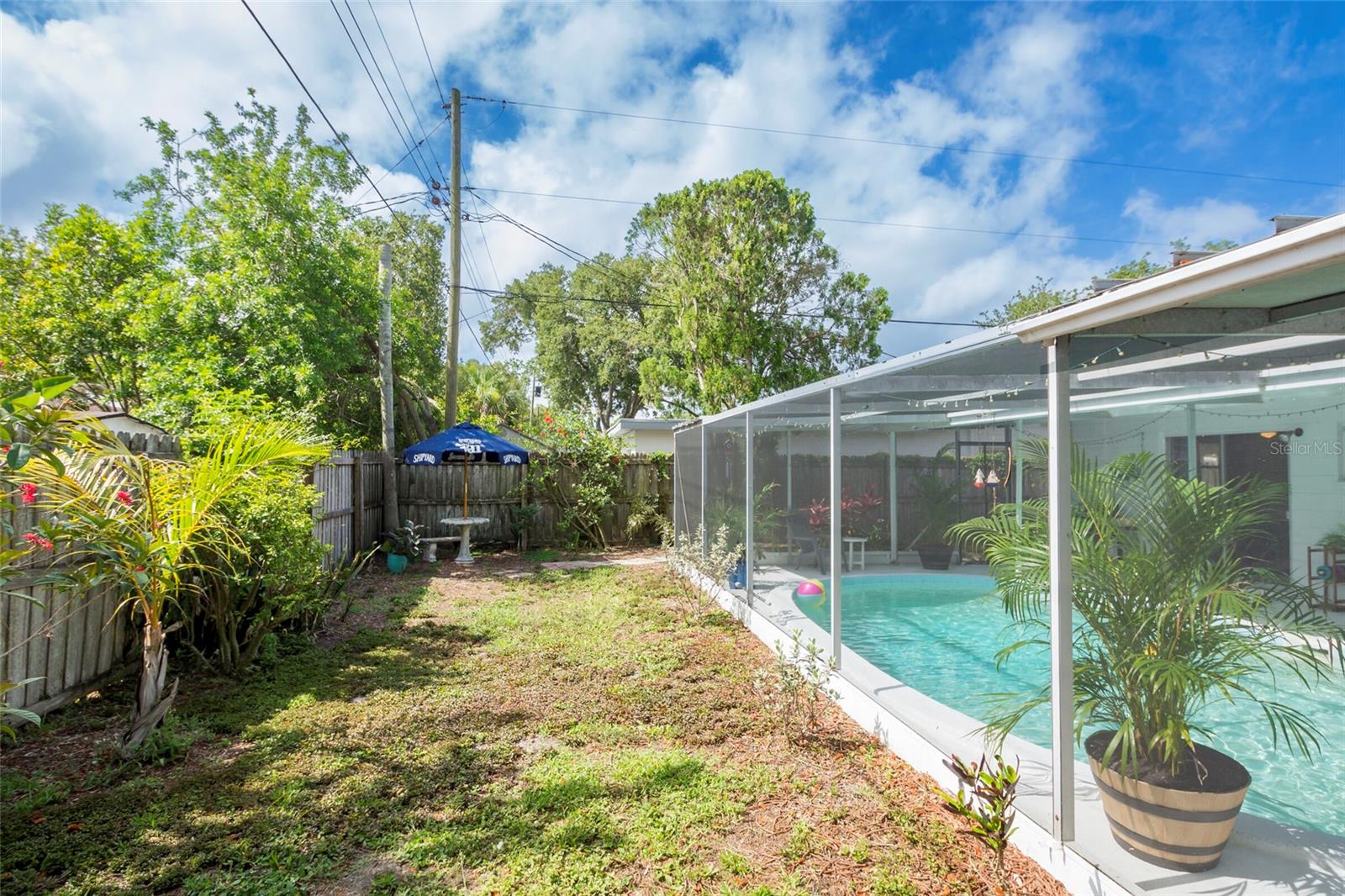 Backyard