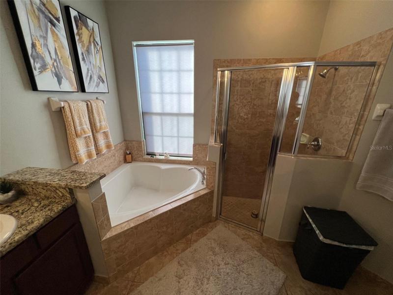 Master bathroom view