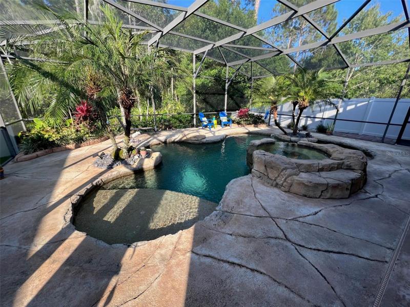 Backyard view