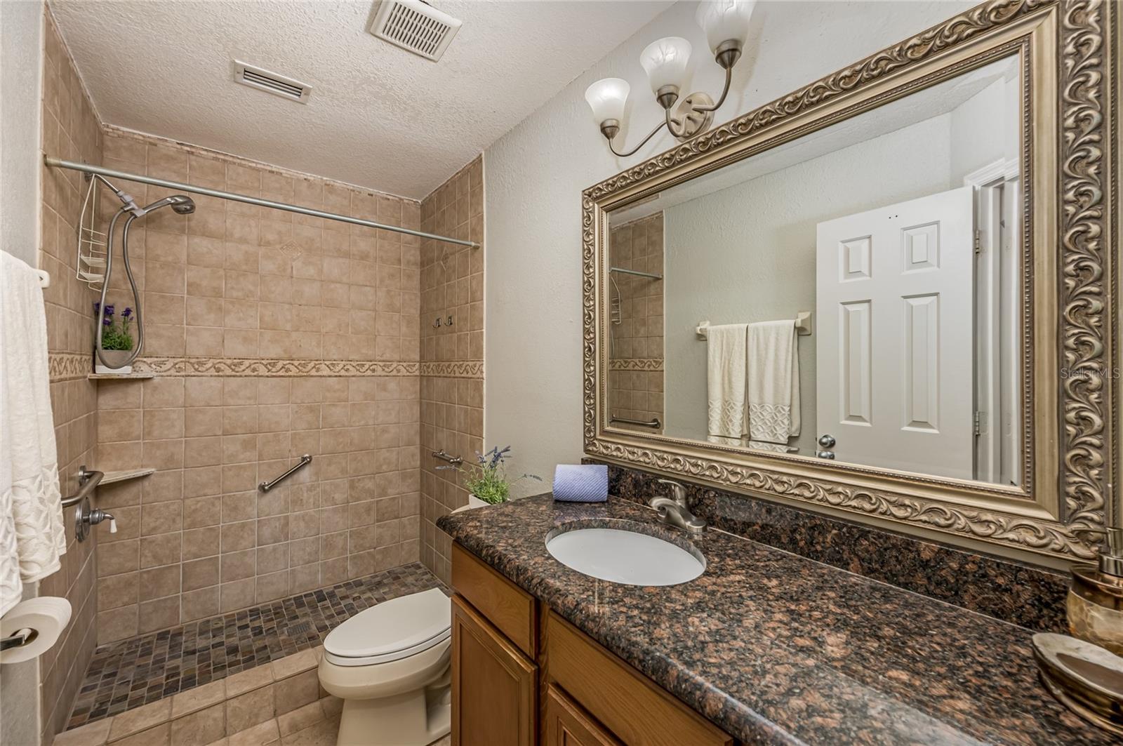 Master bathroom has walk in shower and granite counters