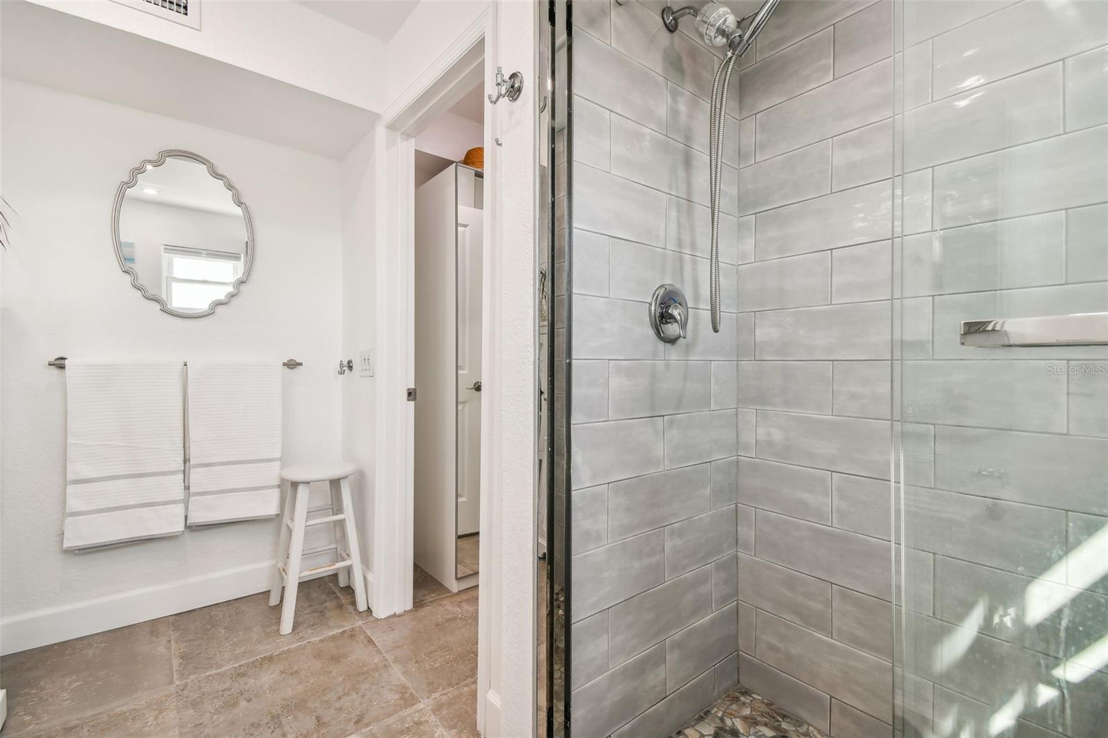 Primary bath and dressing area