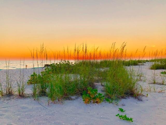 Beautiful sunset