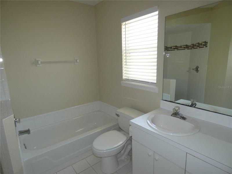 Master bath and tub