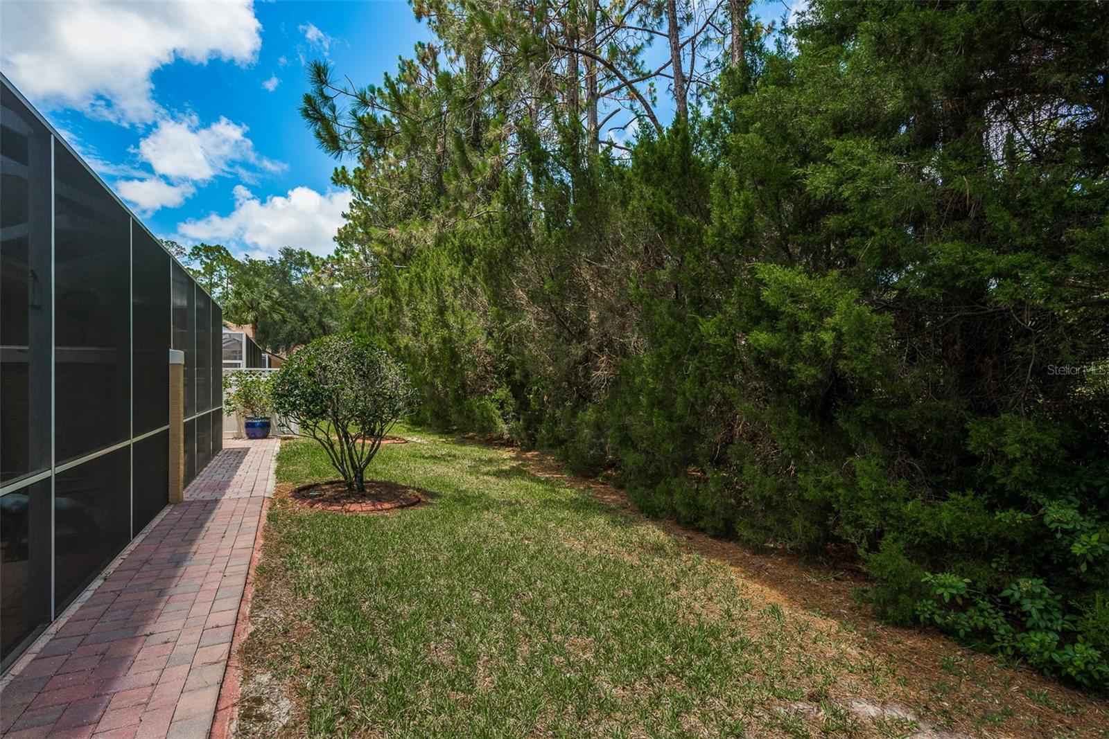 Wooded lot in rear of the home