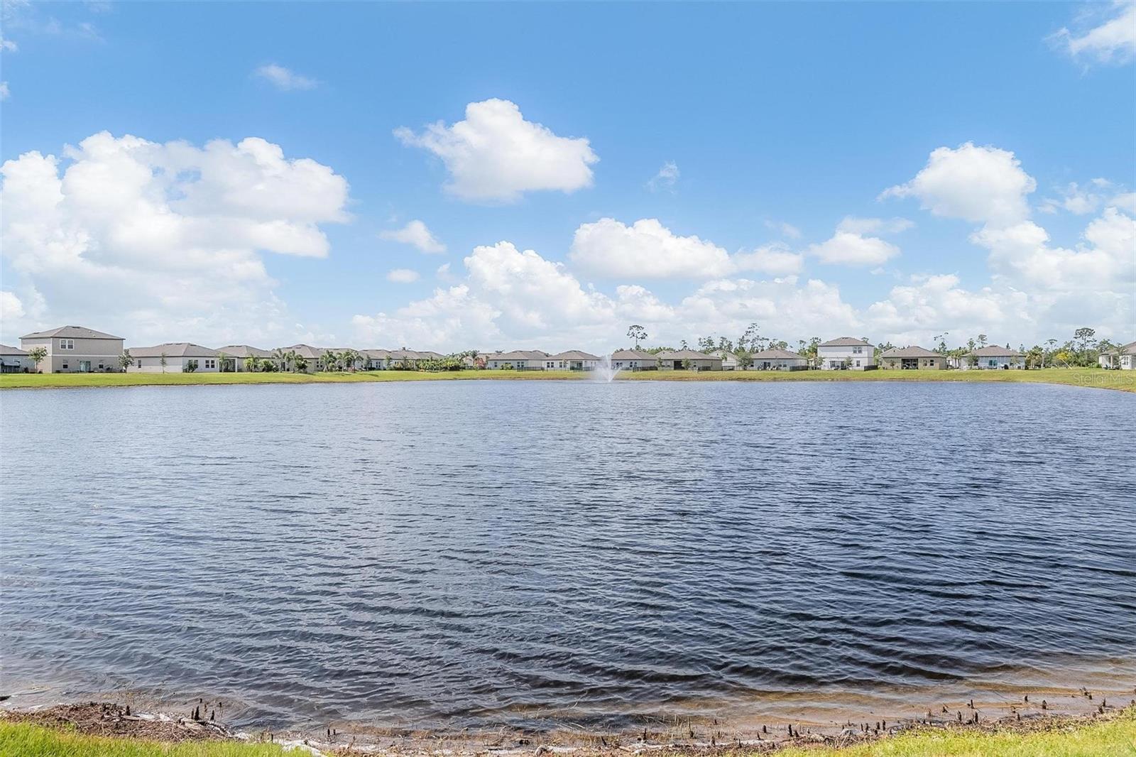 Neighborhood pond from shore.