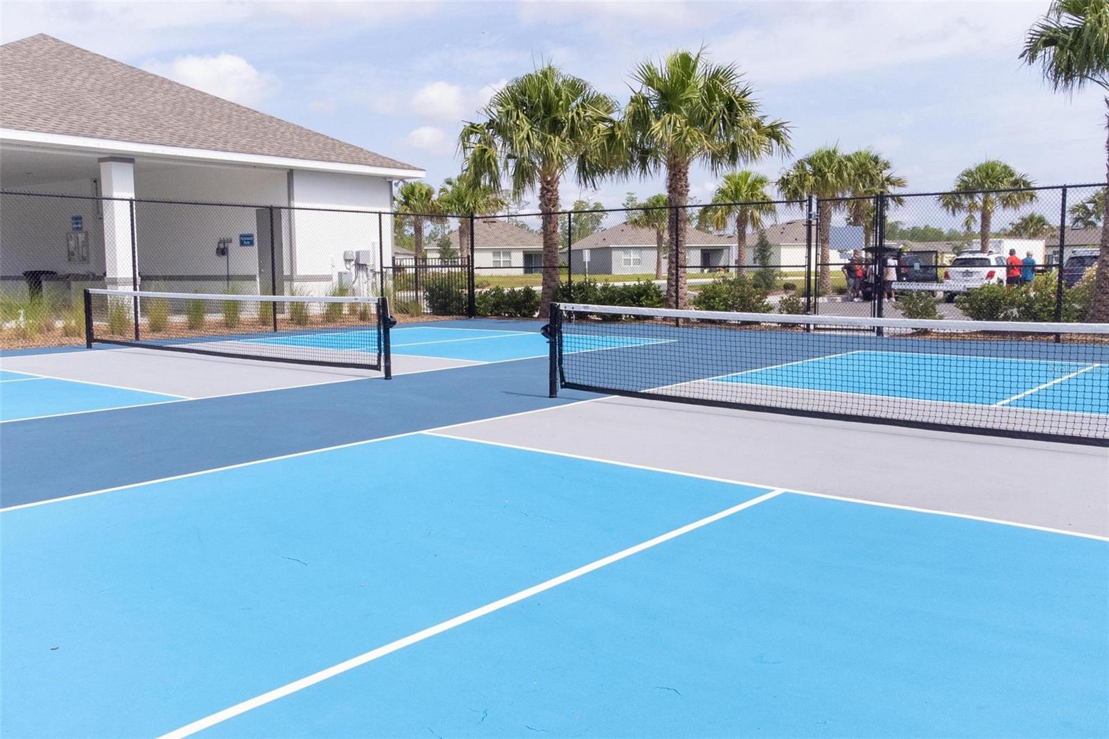 Pickle ball courts