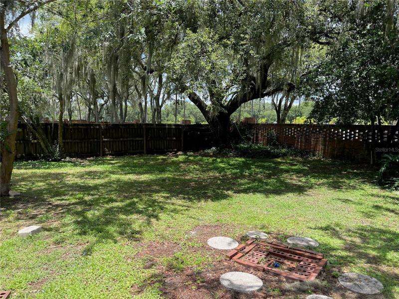 Back Yard