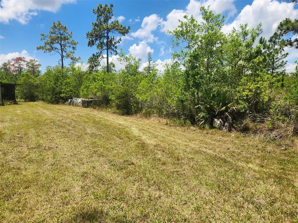 St Cloud, Florida 34771, 0 , 0 ,0,Land,For Sale,HOLOPAW GROVES,0,O6117393