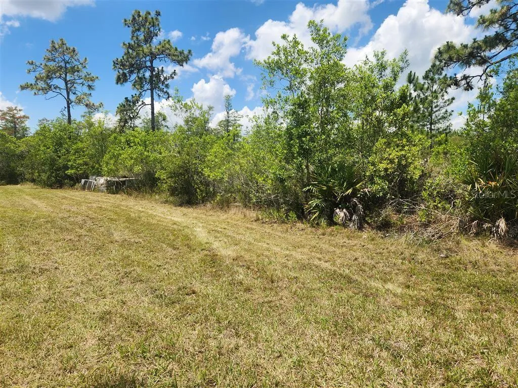 St Cloud, Florida 34771, 0 , 0 ,0,Land,For Sale,HOLOPAW GROVES,0,O6117393