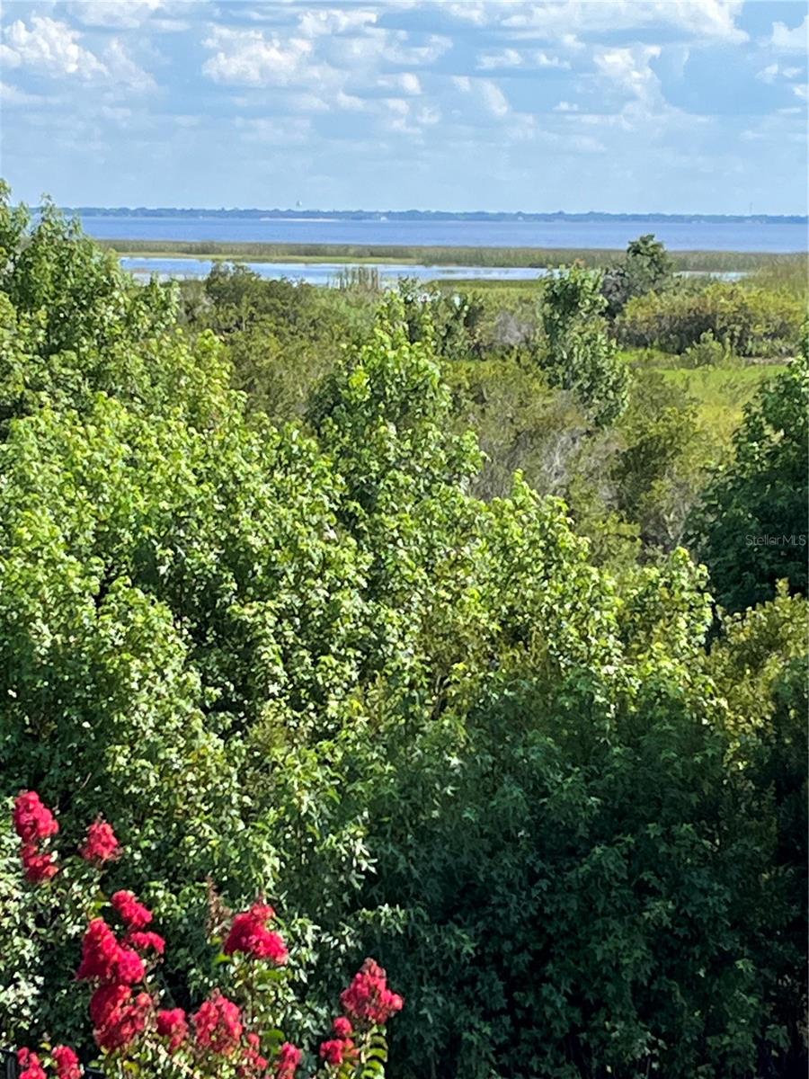 Balcony Southern View of the Lake