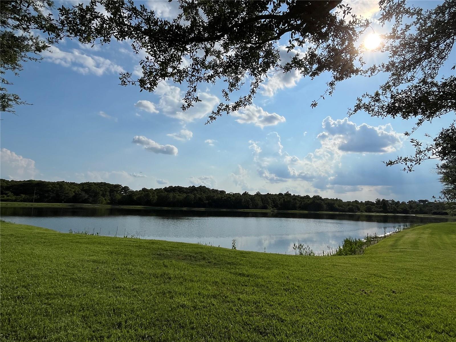 Community Fishing Pond