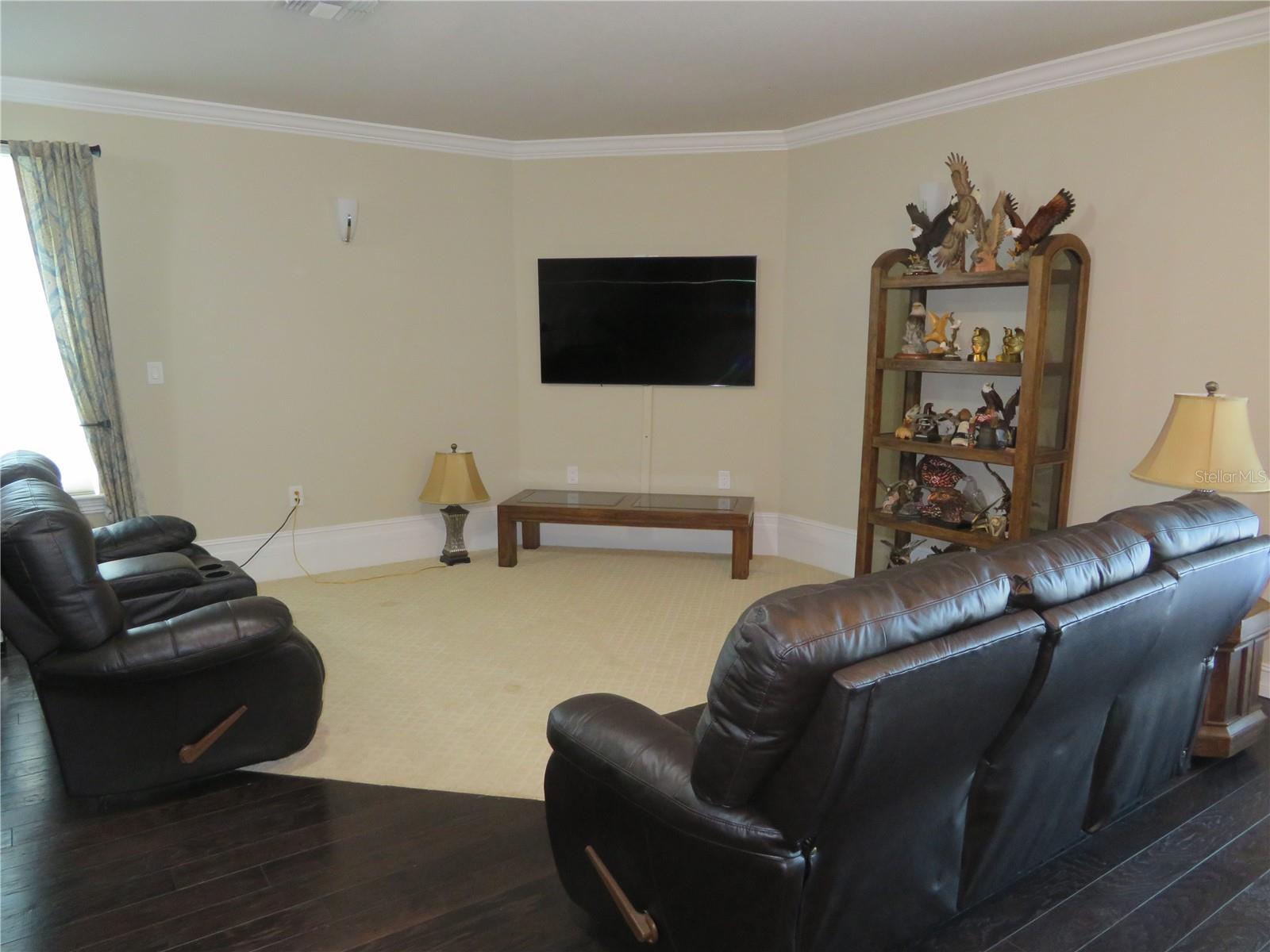 Bonus Room Media Area
