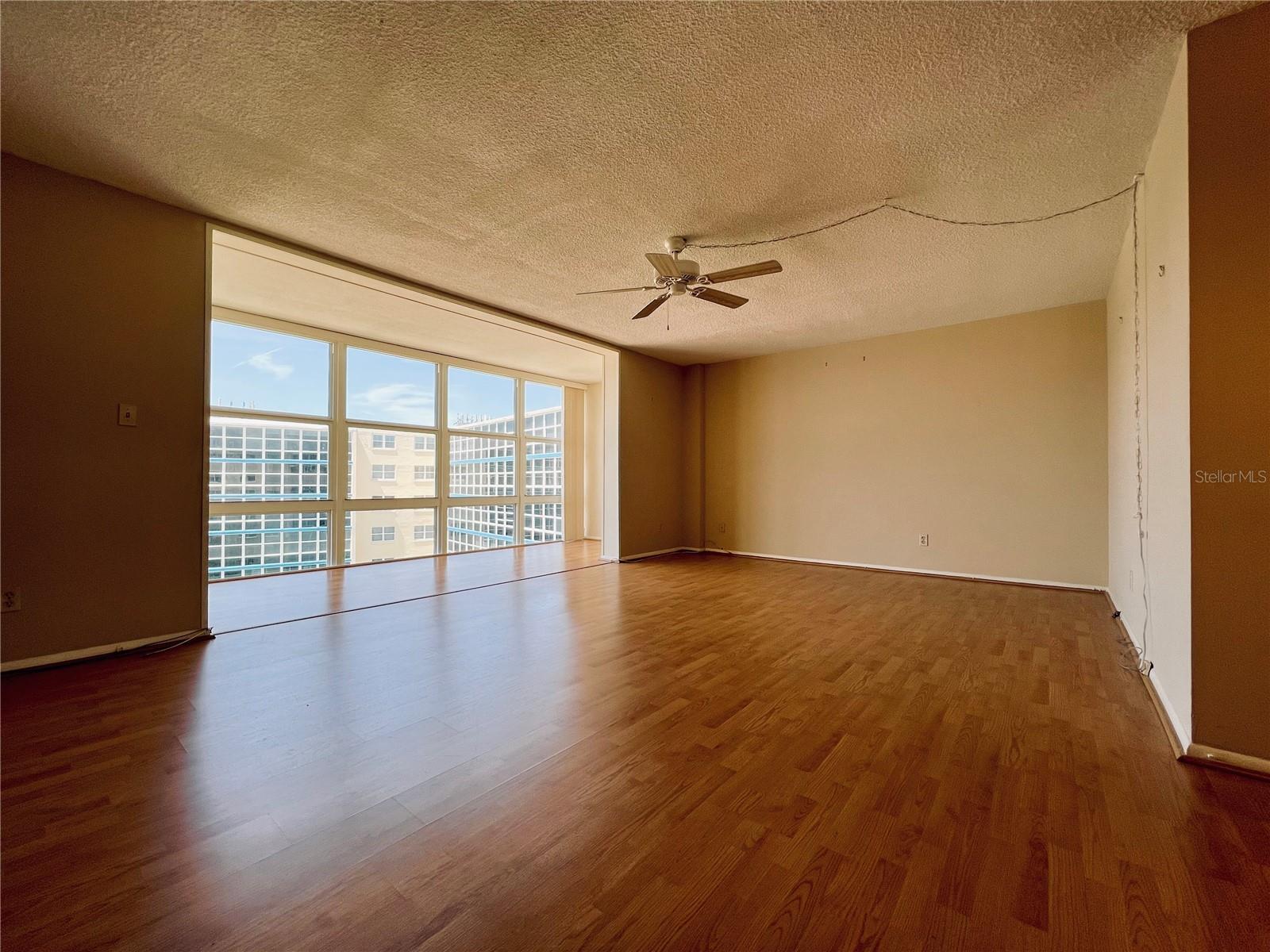 Large Living Room