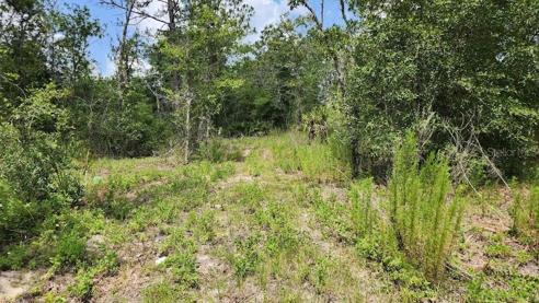Lot on 20 th place