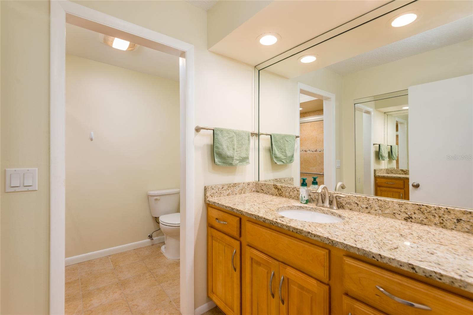 2nd bathroom with high vanity.  Dimmable lights, and towel closet.