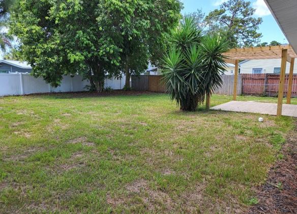 Backyard
