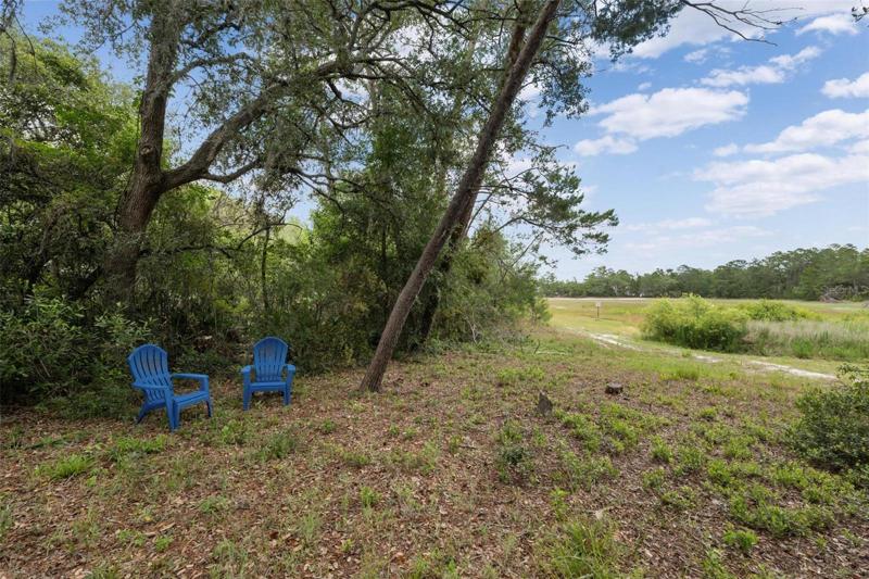 Look at this private yard, no rear neighbors.