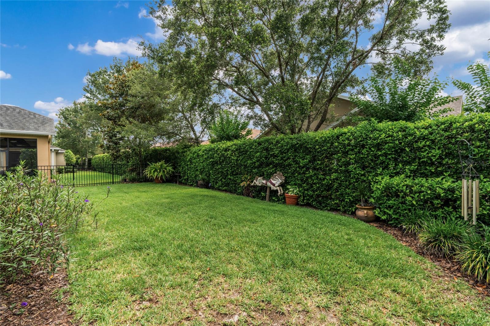 Fenced backyard w/ privacy hedge