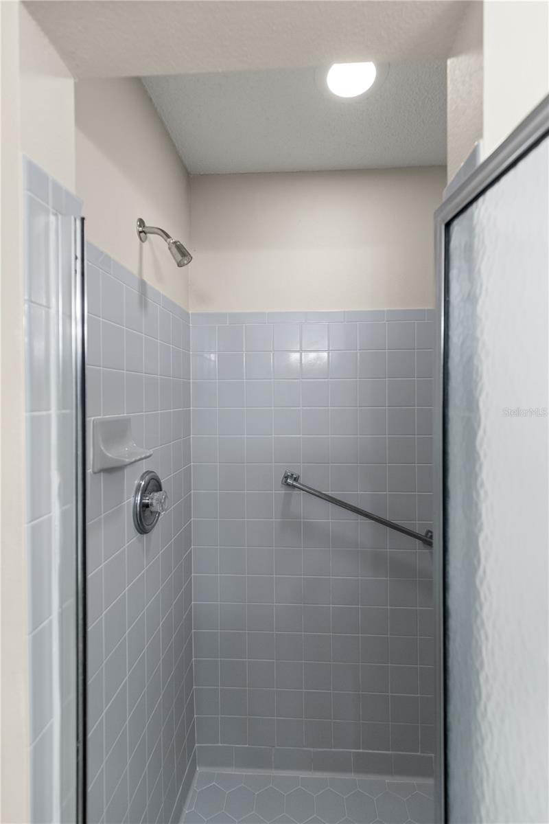 Master Walk-in Shower