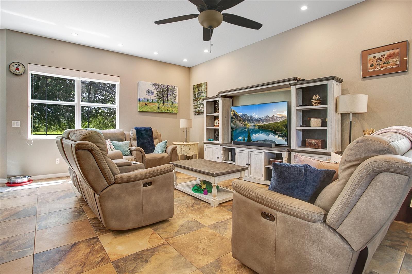 Living Room Pic 2