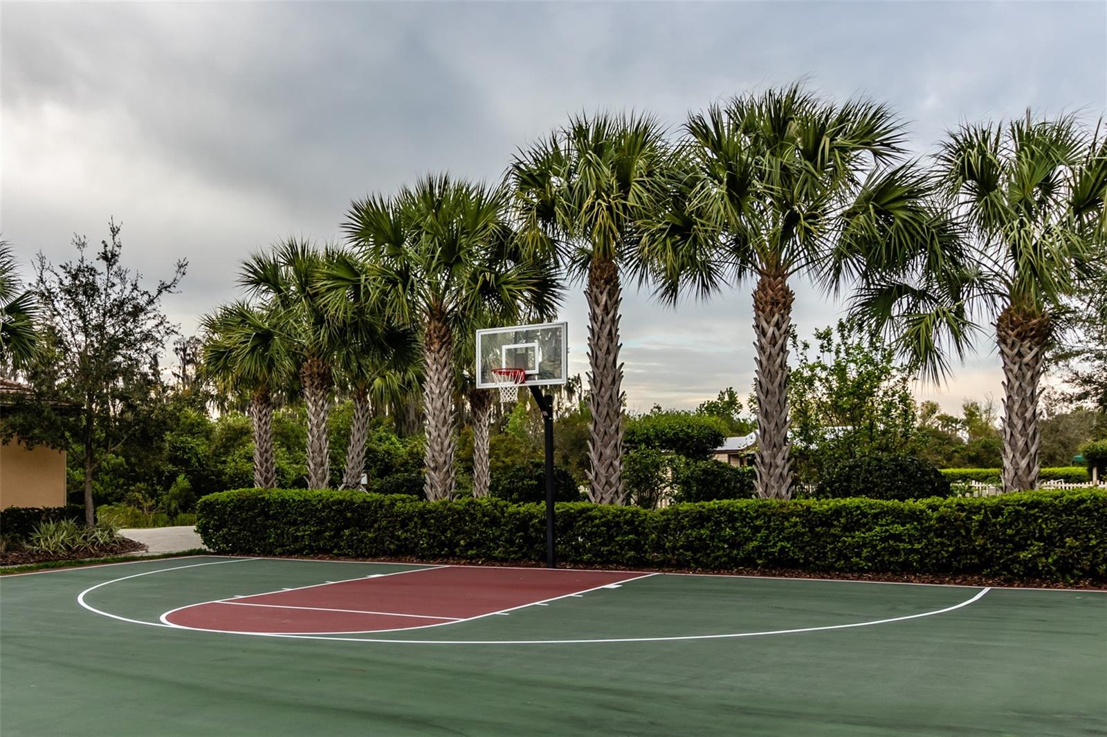 If you have the knees, "Ball's in".
