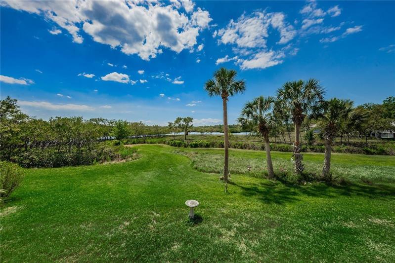 Backyard views