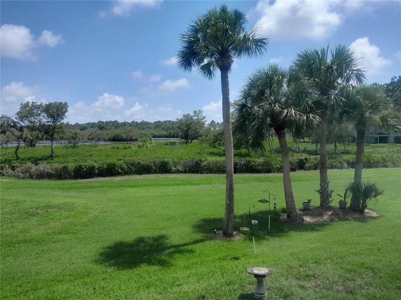 back yard views