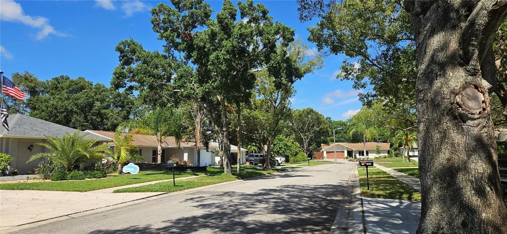 View of neighborhood
