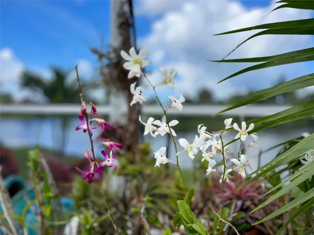 beautiful plantings