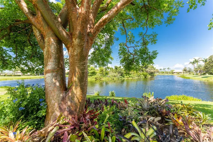 beautiful plantings