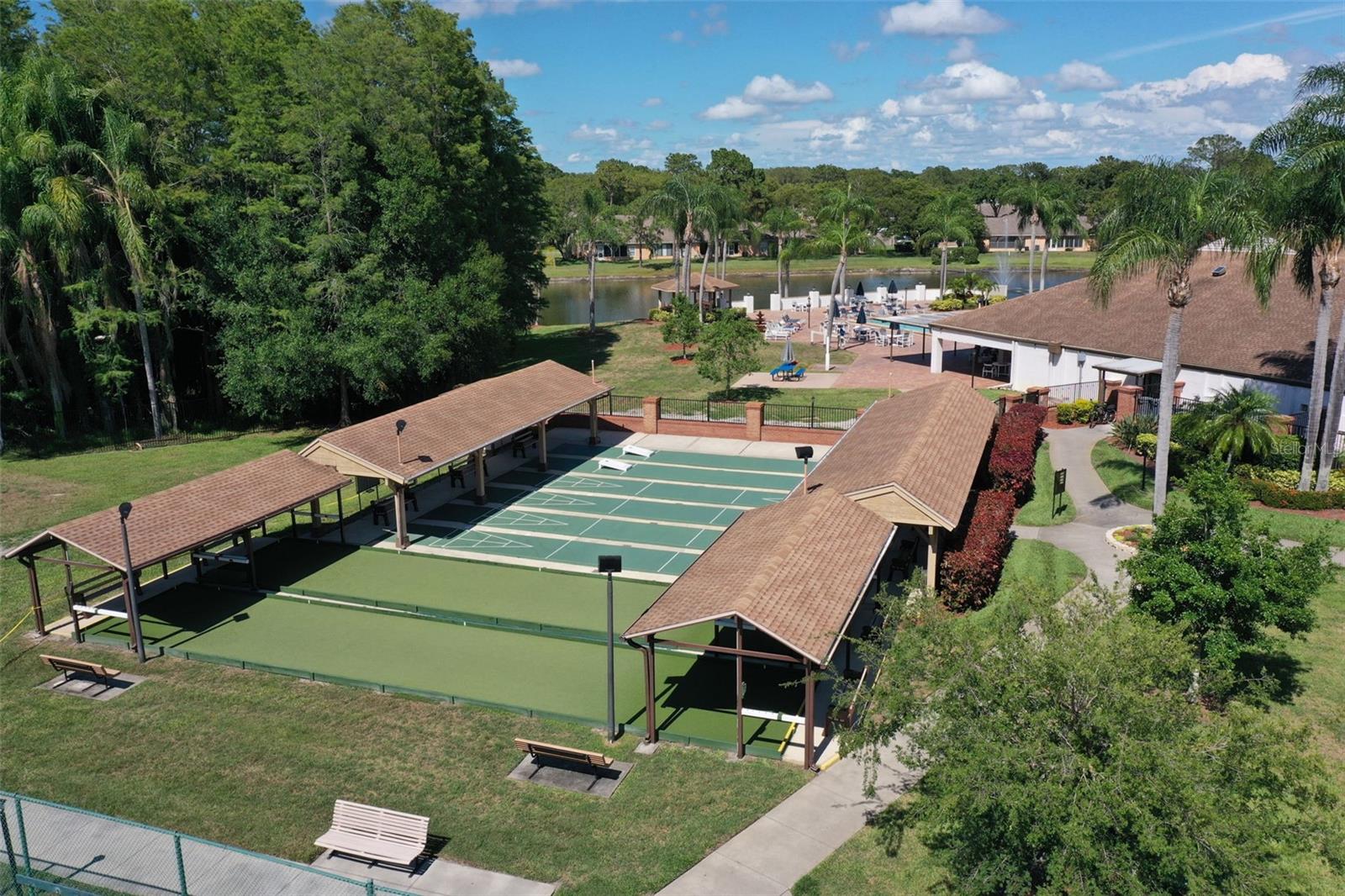 Shuffle Board and Bocce Ball