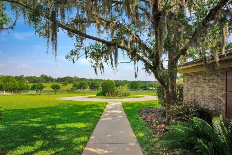 Front Walkway
