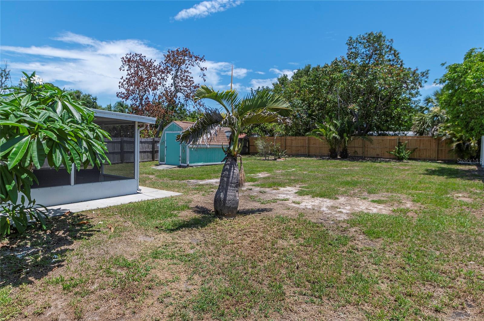 Pool sized back yard